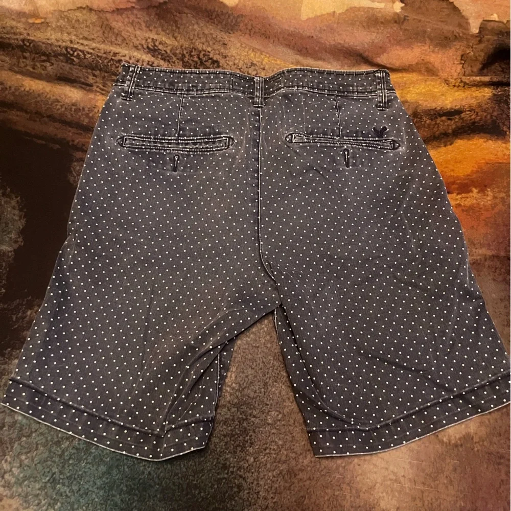 American Eagle Vintage Polka Dot Print Men’s 9” Shorts (Size 30)